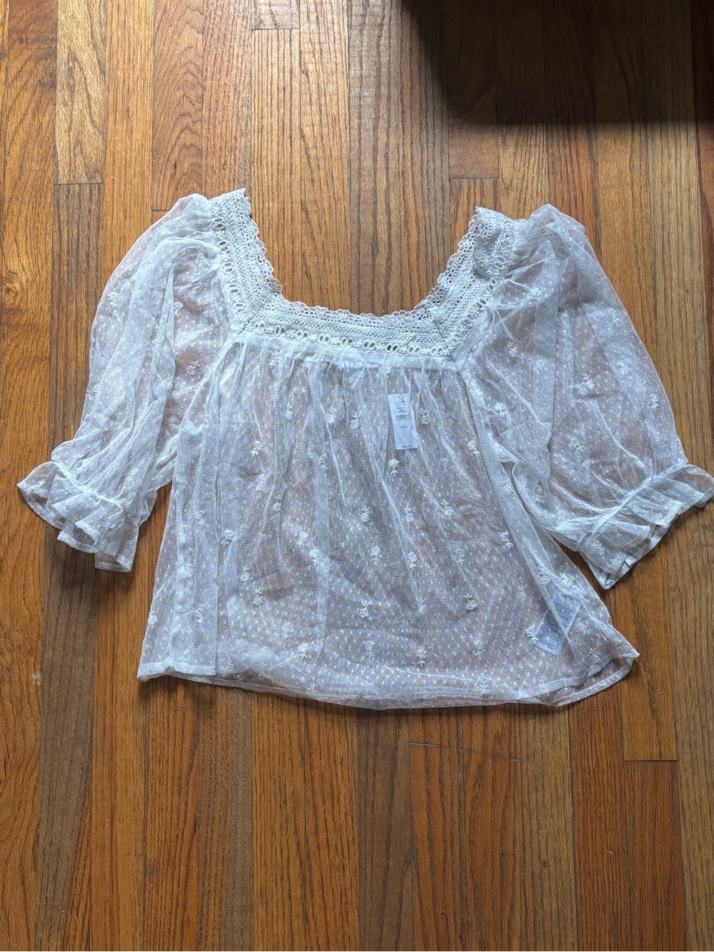 GAP Sheer Tulle Embroidered Top